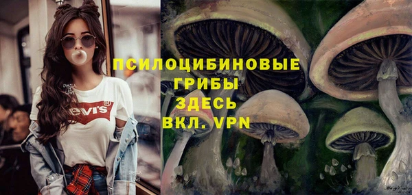 эйфоретик Абдулино