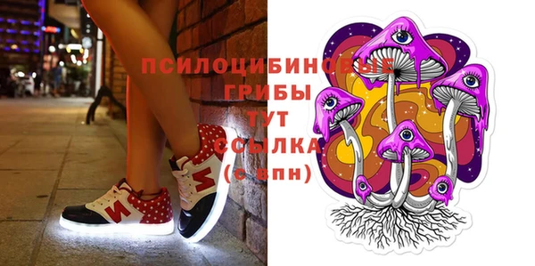 spice Абаза