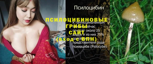 шишки Приозерск