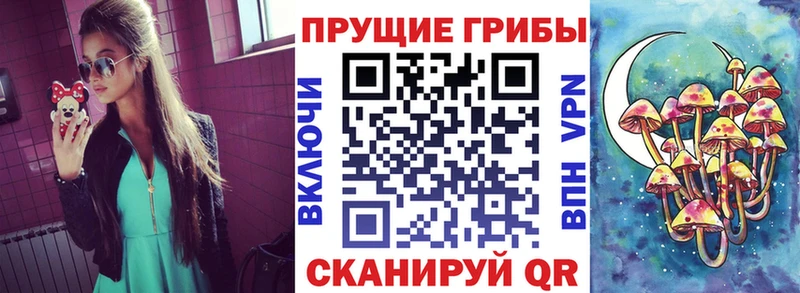 как найти наркотики  Тутаев  Галлюциногенные грибы мицелий 