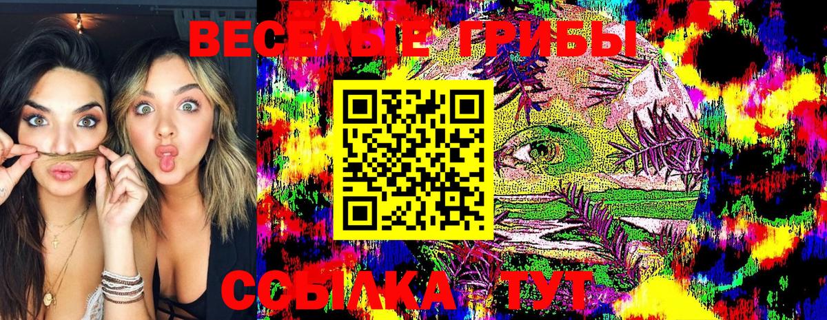 Галлюциногенные грибы Psilocybine cubensis  Вход с VPN  Тутаев 